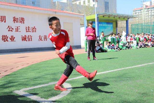 2025年男排世锦赛抽签分档确定 中国男排列第四档